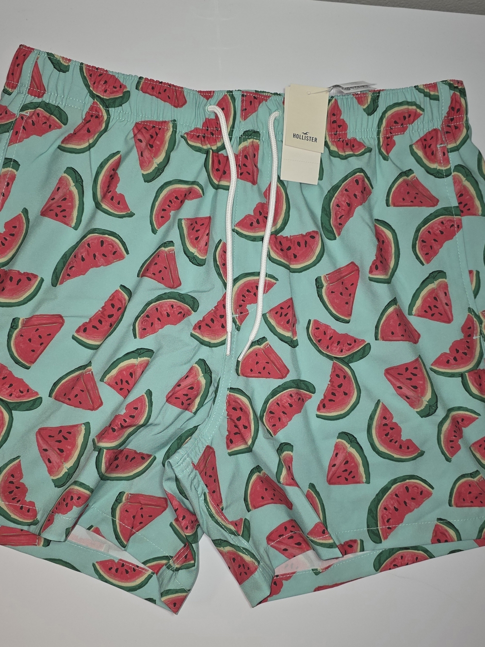 ​NWT Hollister Men Mint Watermelon Print Swim Trunks Size L
